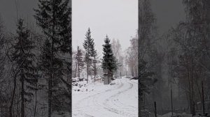 Омск/Снесли Биофабрику-предприятие/Новые дома/Яйцо🥚подешевело-"Ярче"