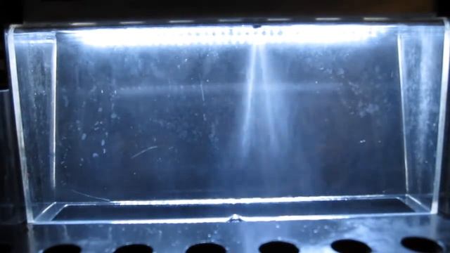 0280158117 spray смотреть онлайн