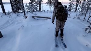 ПОИСК В ЛЕСУ ПОШЁЛ НЕ ПО ПЛАНУ. НЕ ПОСМОТРЕЛ ПРОГНОЗ ПОГОДЫ И ОБАЛДЕЛ. ПОХОД В ТАЙГУ НА ПРЕДЕЛЕ