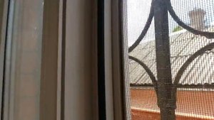 Саб рвет квартиру