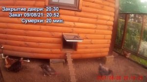 Автоматический лаз. Видеоответ: "Почему все мои куры всегда ночуют в курятнике"