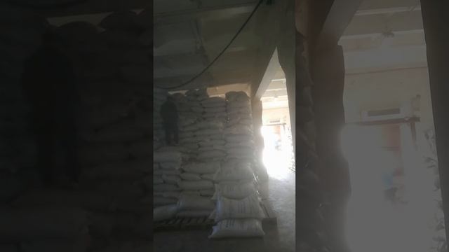 Разгрузка солода по 50 киллограм. Город БАРНАУЛ. Грузчики Барнаул