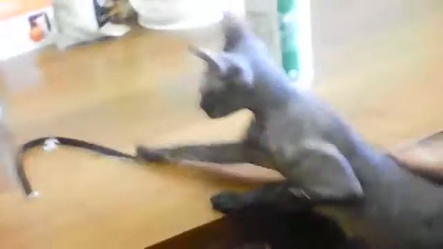 Бттт смотреть онлайн