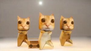 Коты танцуют под фонк