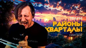 Звери - Районы кварталы (Cover by Саныч Music)