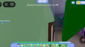 побег питомца