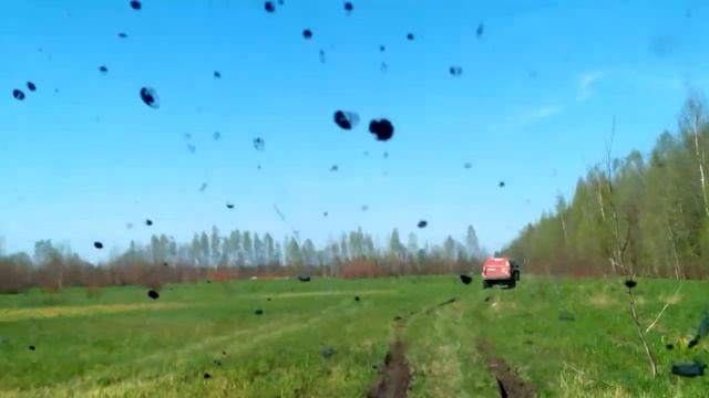 Синявинские высоты 2015( рейд памяти) смотреть онлайн