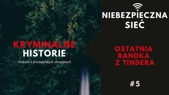 NIEBEZPIECZNA SIEĆ: OSTATNIA RANDKA Z TINDERA #5 смотреть онлайн