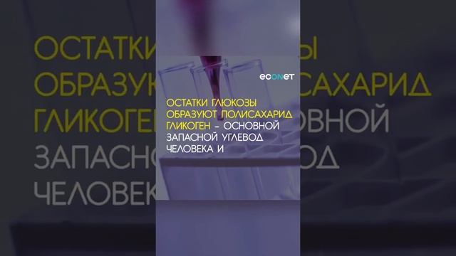 Следите за этими показателями ! смотреть онлайн