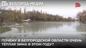 Почему в Белгородской области очень тёплая зима в этом году?