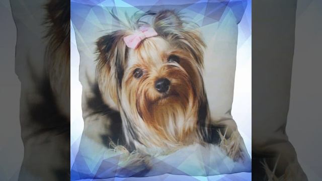 v deoalmofadaml смотреть онлайн