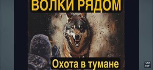 Финальная схватка с волком. Скоро!