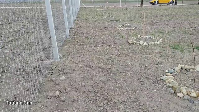 Влог_День с Турецким Мужем_Завтрак_На участок_Что купили_Что посадили_Домашнее видео _Турция смотреть онлайн