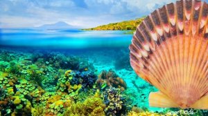 Learn names and sounds sea animals | Animals for Kids