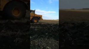 К701 с плугом ПЛН 7-35 пашет после дождя