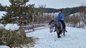 ЗАЕЗДКА ЛОШАДИ  БЕЗОПАСНЫЙ И МЯГКИЙ МЕТОД. КАК ЗАЕЗДИТЬ ЛОШАДЬ. МЫ ШЛИ К ЭТОМУ ЧЕТЫРЕ МЕСЯЦА!