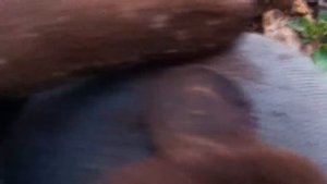 Как найти закладную монету в доме. Секреты кладоискателя