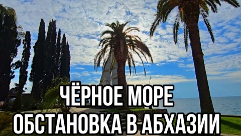 В Абхазии зацвела Мимоза. Ситуация со светом и отношение к русским в Абхазии. Абхазия 2025