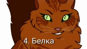 [Коты Воители] Top 5 Самый Сильных Котов Воителей!