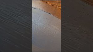 Усилитель для Wi-Fi холотв Depper,Практик часть 1