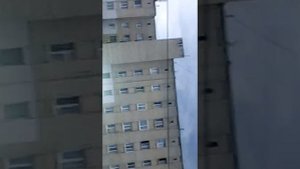 Серена. Галовый
