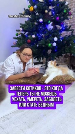 Завести котиков #astenfamily#кототерапия #кошечки#приколыкоты#котыприколы#смешные котики