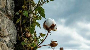 Читаем истории - Когда сердце матери кипит - Рассказы/ Слушать истории/ Жизненные истории