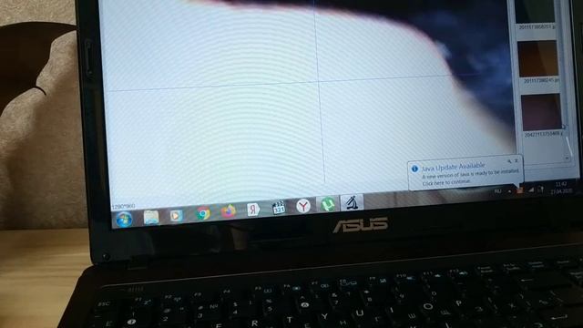 Вечный террариум день 2 + микроскоп смотреть онлайн