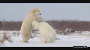 #Islam#Quran#TaHa#ٌMinshawiy#Коран#СурТаХа#СамыеКрасивыеМеста#Relaxation#4кВидео#3часть#