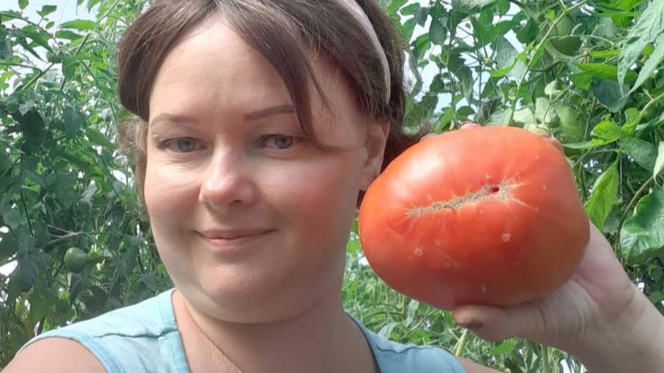 ЯНВАРЬ! СЕЕМ  ПЕТУНИИ И ЭУСТОМЫ