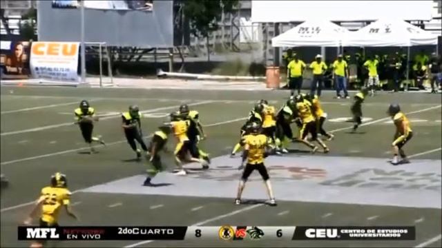 Final Toros Amarillos vs Linces Jr Bantam 2018 смотреть онлайн