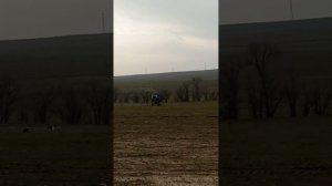 вносим удобрения по 100 кг за гектар