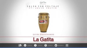Julio Voltio - La Gatita | Audio