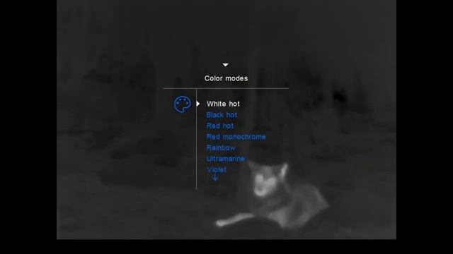 Pulsar Proton FXQ30 Thermal Front Attachment - Wolves смотреть онлайн