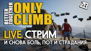 Играю в Only Climb с другом.