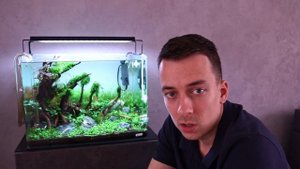 Week 3 Update on the Dennerle Scaper's Tank 70L