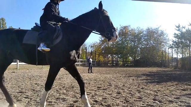 Рей смотреть онлайн