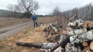 Выходной день в деревне. Пилю дрова электропилой ЧЕМПИОН.