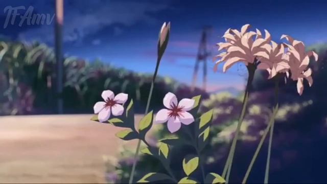 5 Centimeters Per Second [AMV]~Masih Disini смотреть онлайн