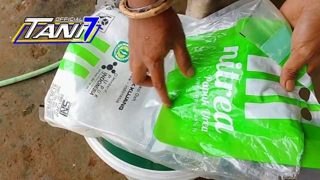 TABURKAN BAHAN INI supaya rumput cepat mati sampai keakarnya ! Dijamin tidak tumbuh lagi | Tani 7. смотреть онлайн