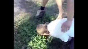 Вота Фак маза фака. Велосипедист ударился бубенцами