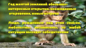 Восточный гороскоп на 2026-2031! Год какого животного по восточному
гороскопу! Часть 1