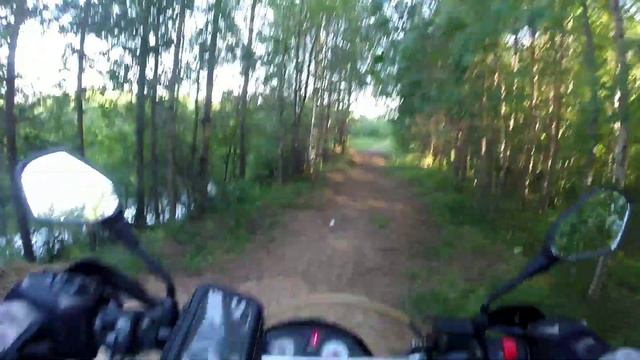 По лесу на мотоцикле / Through the woods on a motorcycle смотреть онлайн