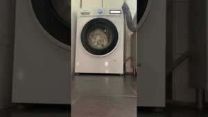 Slow Motion Siemens IQ800 Edition