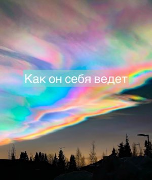 ⚜️Трансляция: Как он себя ведет