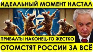 Задумали что-то СТРАШНОЕ! Идеальный момент настал: прибалты наконец жестоко отомстят России за все.