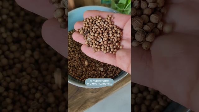 Лечебная сила специй #shorts смотреть онлайн