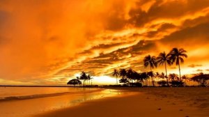 Dreams at sunset | relax on the guitar | Anatol Yadryshnikov