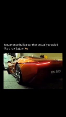 Did you know jaguar made a car that actually sounded like a jaguar 🐆 #jaguar #car #money #motivatio