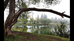 М  Цветаева  Бежит тропинка с бугорка #стихиодетстве #поэтысеребряноговека